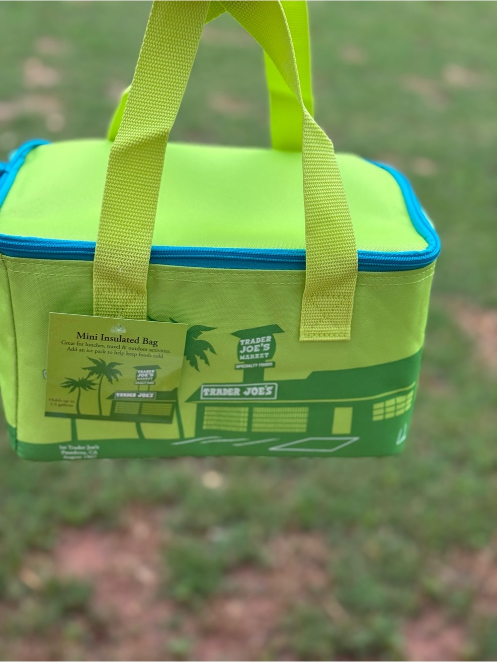 Trader Joe's Mini Insulated Lunch Bag - Lime Green with Blue Trim